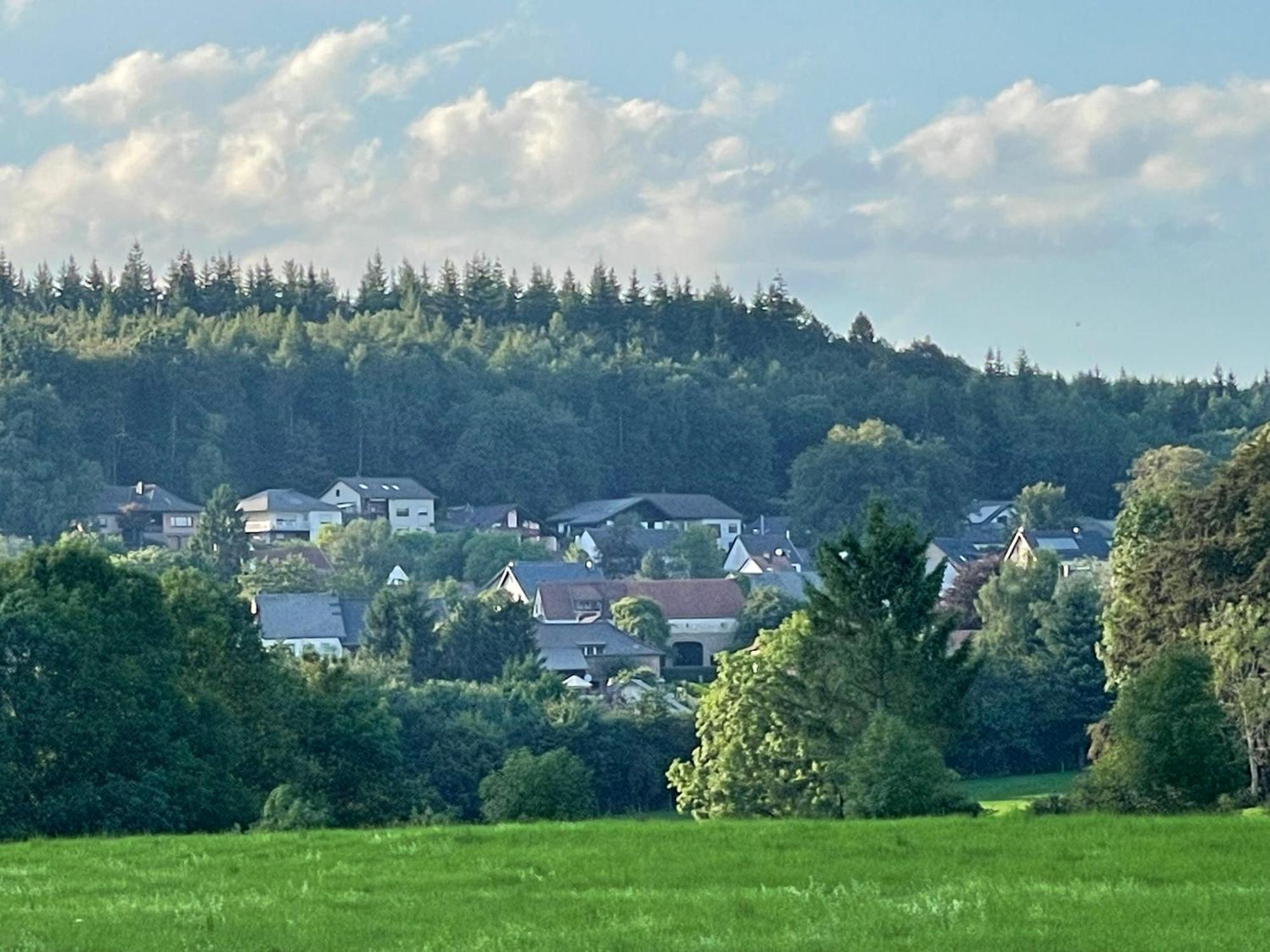Ferienhaus Eifelblick Feusdorf Bagian luar foto